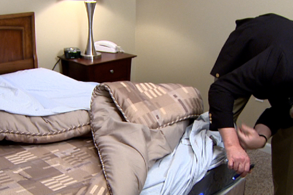 blogs_bedbug_inspection