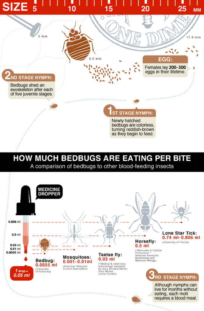 Bed Bug Biology and Behavior